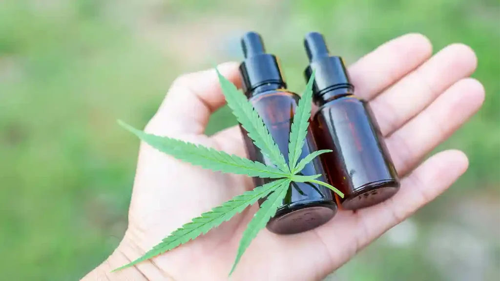 Canabidiol - óleo de Cannabis sativa medicinal - CBD